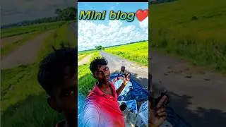 24 Aaj papa ka madad Kiya🌳 Challenge 😭❤️#minivlog #vlogs