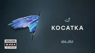 THE HARDKISS - Косатка (official audio)