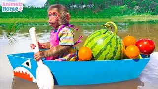 Monkey Naughty BiBi rowes a boat to pick fruits and eat so yummy with ducklings | Animals_Home