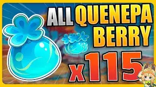 ALL 115 Quenepa Berry FARM IN NATLAN !  (SPEEDRUN ROUTE) | Genshin Impact