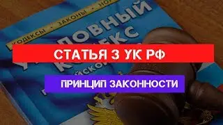 Статья 3 УК РФ. Принцип законности