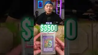 My Top 5 Rarest & Most Expensive Yu-Gi-Oh Cards (GX Edition)