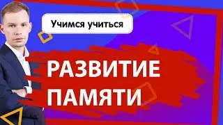 Эффективные упражнения для развитие памяти у детей | Учимся учиться!