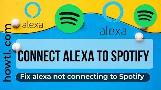 How to Fix Alexa Not Playing Spotify [/alexa-wont-play-spotify/] 