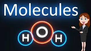 Molecules ||  3D Animated explanation ||  Complete Basics ||Chemistry|| Class 9, 10, 11, & 12th||