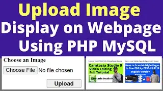 How To Upload/Insert Image to MySQL Database & Display It On Webpage Website Using PHP MySQL Bangla