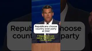 Republicans choose country over party at DNC