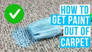 How to GET PAINT OUT OF CARPET | Remove acrylic, dried or gloss paint from carpet