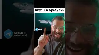 Самая ТУПАЯ новость которую вы когда либо слышали 😂