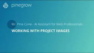 AI Assistant - Working With Project Images