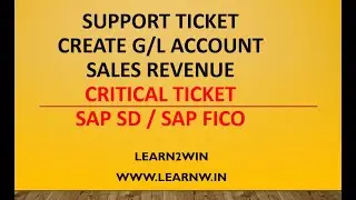 support ticket sap fico | support ticket sap sd | support ticket sap s4hana | sap support project
