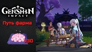 Путь фарма -  Цвет Сакуры | Аято | Аяка | Геншин | Genshin Impact