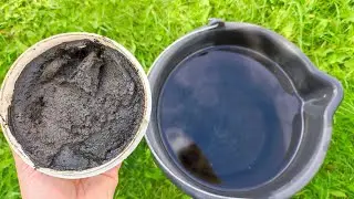 1 ложку на ведро воды ОСЕНЬЮ и земля вмиг станет плодородная, для богатого урожая