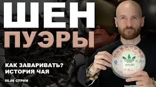 Шен Пуэры|Секреты заваривания|Чайник или гайвань?|Отвечаем на вопросы