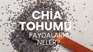 Chia Tohumu Faydaları Neler? #modernaktar #chiatohumu
