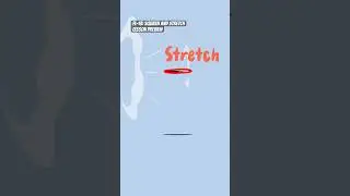Squash and Stretch lesson preview