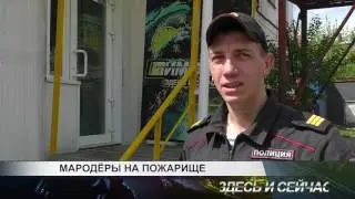 мародеры на пожарище