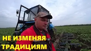 МЕЖДУРЯДНАЯ КУЛЬТИВАЦИЯ ПОДСОЛНЕЧНИКА / ВДВОЁМ ВЕСЕЛЕЕ /НЕДЕЛЯ В ПОЛЯХ