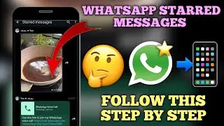 How to Find Starred Message on Whatsapp