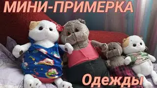 БАСИКИ ПРИМЕРЯЮТ ОДЕЖДУ.Влог с басиками.