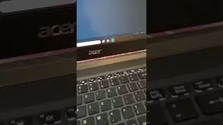 Coder Life 