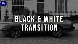 Premiere Pro Color Transition to Black and White