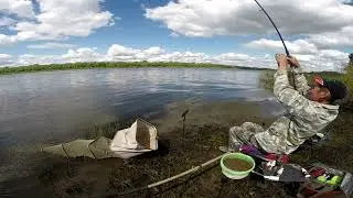 На новом месте на любимой Оке. Отличная рыбалка по поклёвкам и ужасная по  обрывам и сходам.  5 день