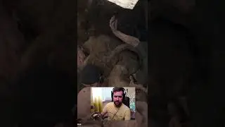 С братюнями на 1 января 🏍️ Жизнь после