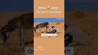 #юмор
