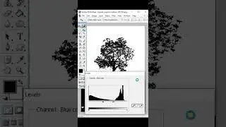Tree Background Remove 