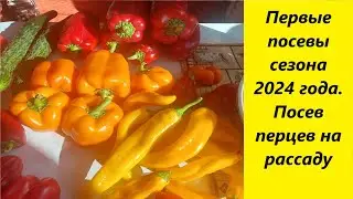 Первые посевы сезона 2024 года, плсев перцев на рассаду
