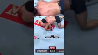 Перс vs Аловсет Мамиев бой