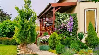 УЮТНЫЙ  ДЕНЬ ДОМА🏠 ЗАГОТОВКИ🥒 УБОРКА ТЕРРАСЫ🌸 Рецепт Картошка в Духовке. Маринованные Огурцы #дом
