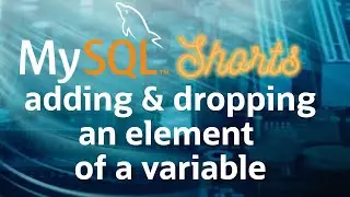 Episode-074 - Adding and Dropping an Element of a Variable