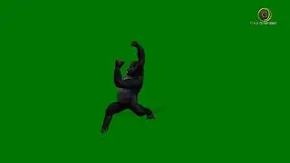 Gorilla Dancing Green Screen HD