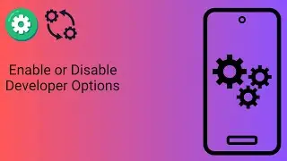 How To Enable Or Disable Developer Options?