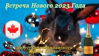 Встреча Нового 2023 года. Вдова Клико. immigrantochka