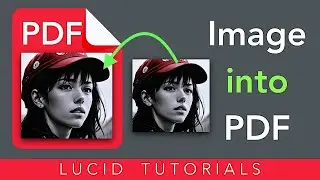 Copy and Paste Images into PDFs in 4 Easy Steps [ macOS ]