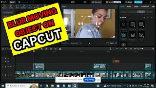 How to blur object/moving objects in CapCut for PC and Desktop Tutorial