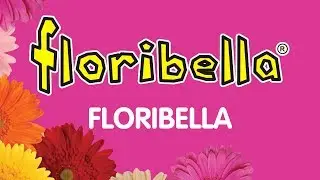 Floribella ( audio oficial )