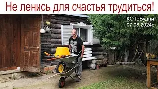 Хочешь быть счастливее вдвойне - работай вдвое больше!  КОТоБудни от 07.08.2024г.