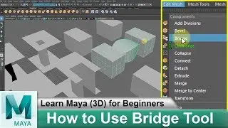 How To Use Bridge Tool in Maya 2018 | Learn Maya 3d Animation For Beginners Tutorials #77