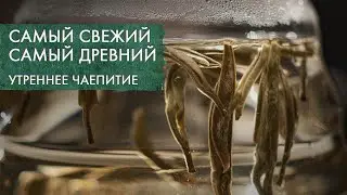 Как БЕЛЫЙ ЧАЙ поможет пережить лето и трудности | Стрим Art of Tea