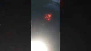 XXX 2020