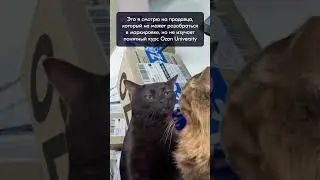 Ищи курс по маркировке на Ozon University!  