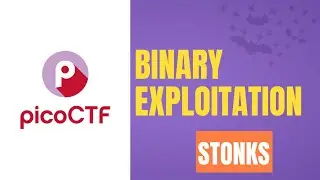 Format String Vulnerabilities | Binary Exploitation | PicoCTF Stonks