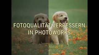 Fotoqualität verbessern – 3 einfache Tricks von PhotoWorks!