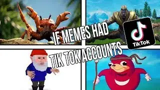 IF MEMES HAD TIK TOK ACCOUNTS!!!