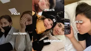 влог / будни студента медика