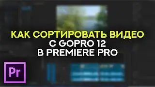 Как сортировать видео с GoPro 12 в Premiere Pro